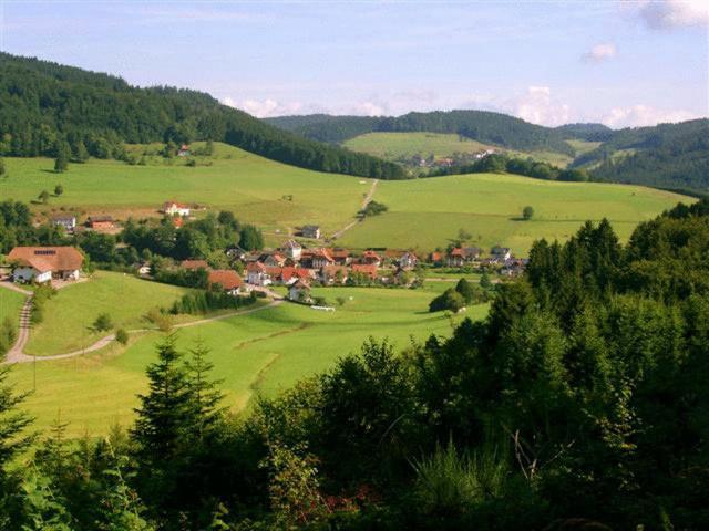 Hirschen-Dorfmuehle Hotel Biederbach Luaran gambar