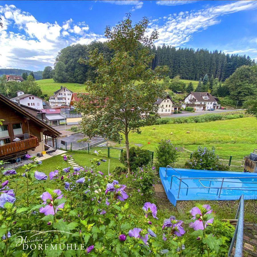 Hirschen-Dorfmuehle Hotel Biederbach Luaran gambar