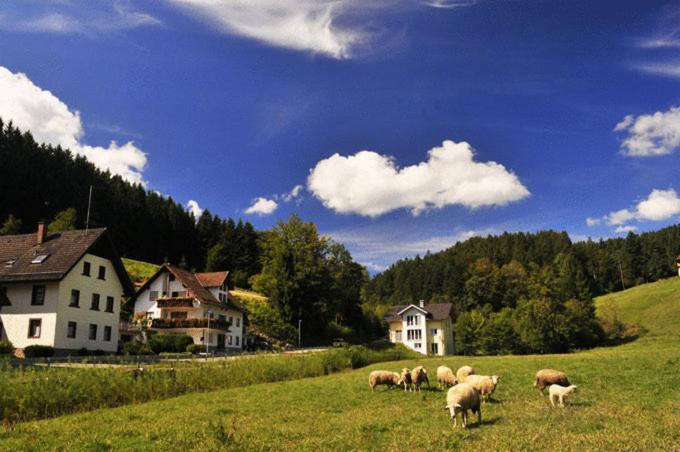 Hirschen-Dorfmuehle Hotel Biederbach Luaran gambar